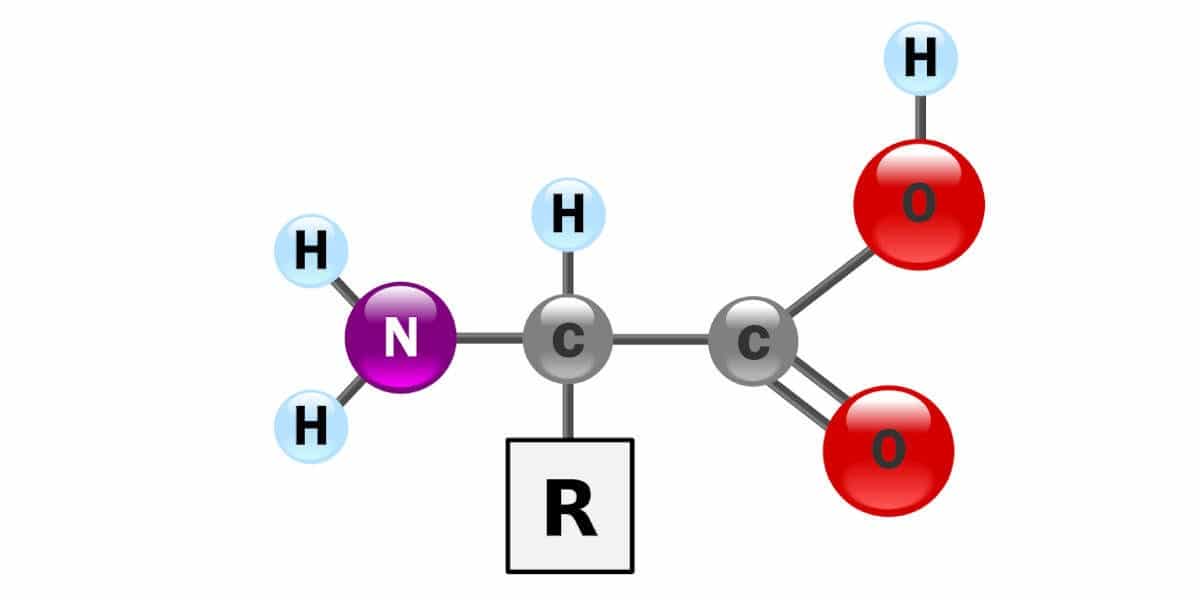 fluid retention study image