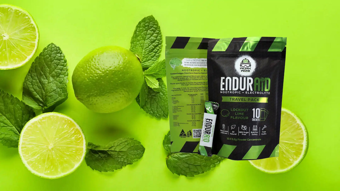 enduraid travel pack 10 lime ingredients
