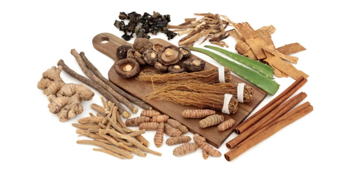 adaptogens visual 1