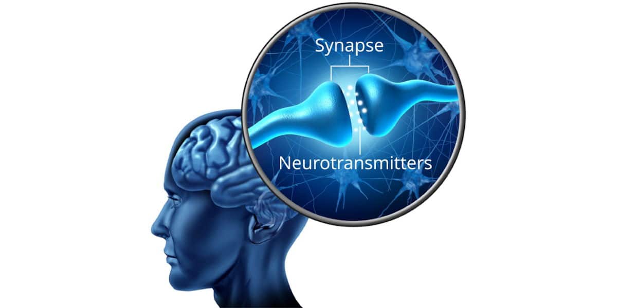 neurotransmitters featured image